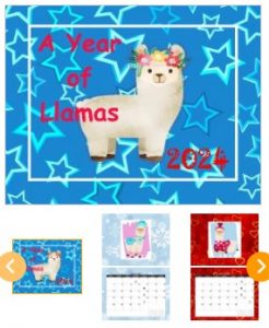 llamas in store3